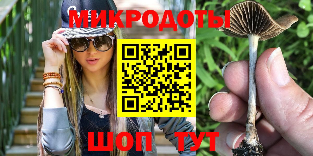 Псилоцибиновые грибы Magic Shrooms Великие Луки