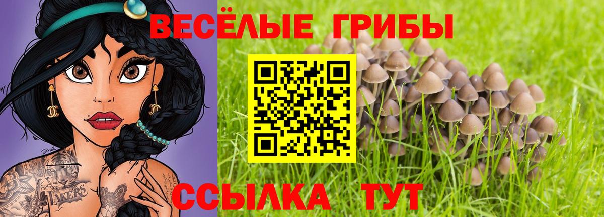 Великие Луки  Галлюциногенные грибы GOLDEN TEACHER  Псилоцибиновые грибы мухоморы  Вход с VPN 
